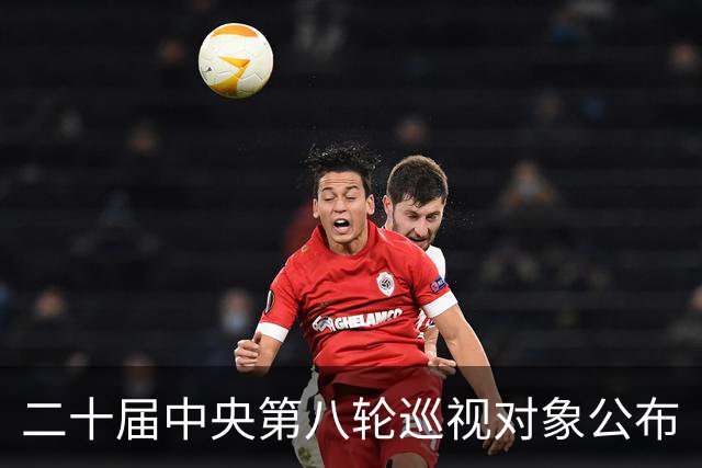 二十届中央第八轮巡视对象公布