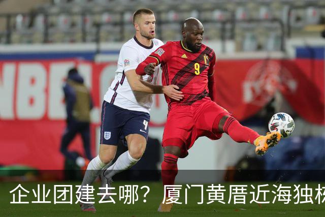 企业团建去哪？厦门黄厝近海独栋别墅实地体验