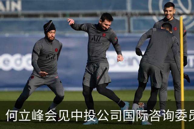 何立峰会见中投公司国际咨询委员会委员