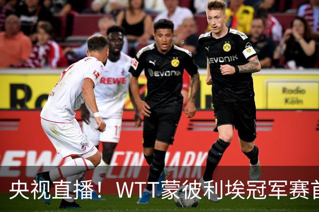 央视直播！WTT蒙彼利埃冠军赛首日赛程出炉，孙颖莎不食言迎复出首秀，万众期待