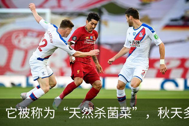 它被称为“天然杀菌菜”，秋天多吃，一预防感冒 ，二健脾开胃促消化
