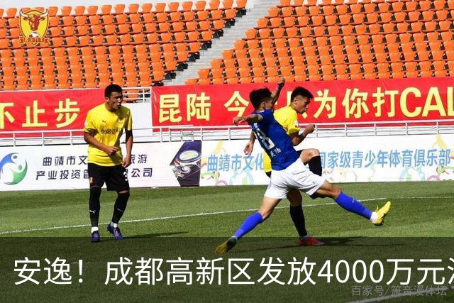 安逸！成都高新区发放4000万元汽车消费补贴，单车最高10000元