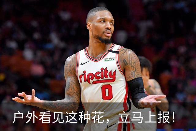 户外看见这种花，立马上报！