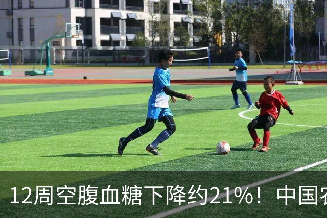 12周空腹血糖下降约21%！中国农业大学研究：这种传统粗粮还能改善肠道菌群！